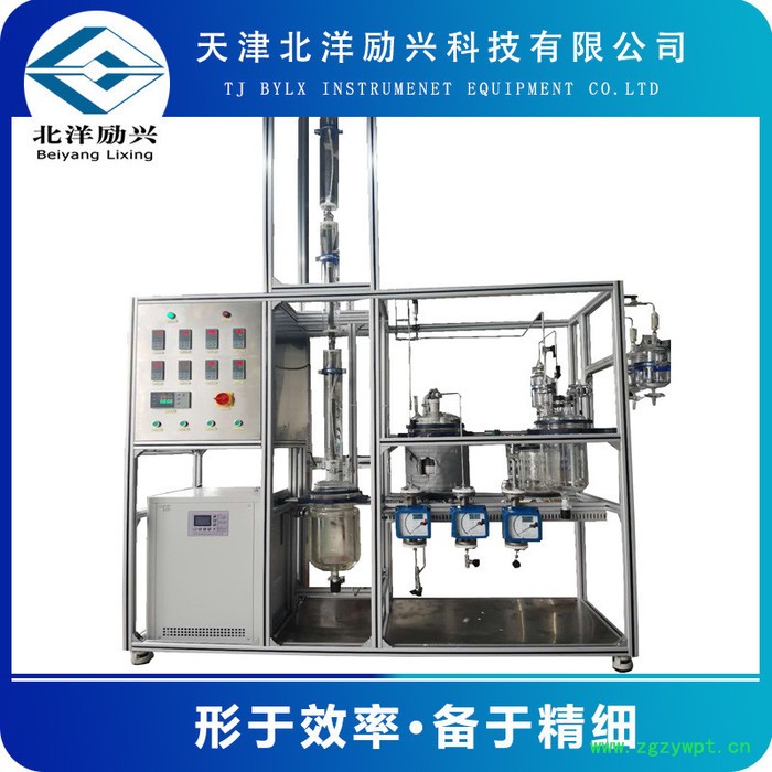 北洋励兴   长期供应固定床加氢装置  固定床催化剂微反评价微反装置 催化剂评价实验装置 来电咨询