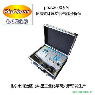 北斗星仪器pGas2000-5S 环境综合气体分析仪 环境空气污染源监测