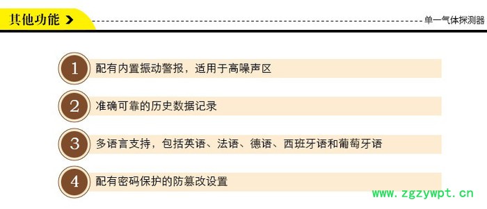 供应GAXT-X氧气检测仪 氧气气体分析仪图3