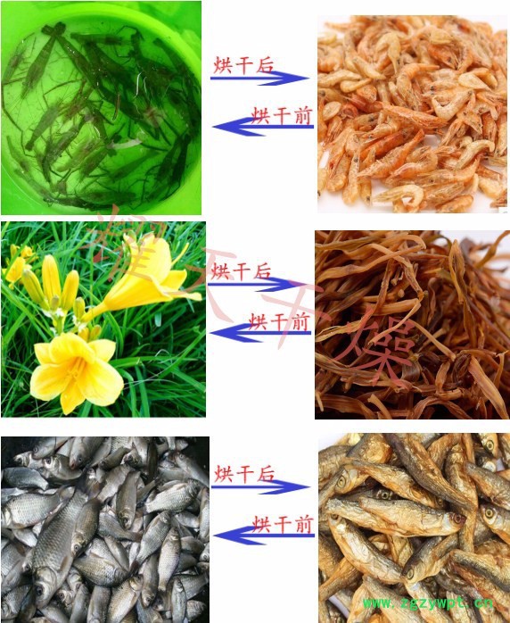 耀天CT-C-IV 热风循环烘箱图4