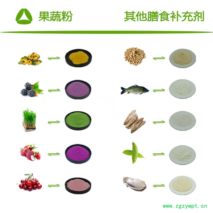 全奥生物 车前子提取物 水溶车前子粉 车前子浓缩粉 食品原料 SC厂家图3