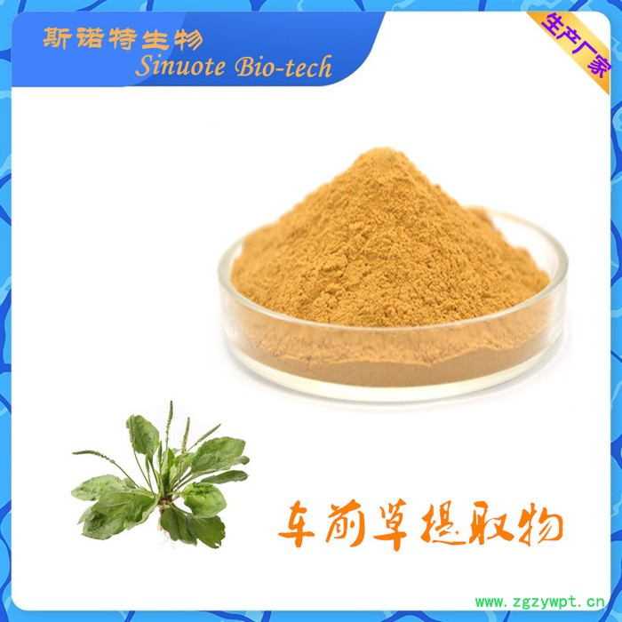 女贞子提取物 Privet fruit extract 厂家供应 女贞子粉图4