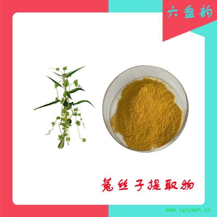 菟丝子浓缩粉 菟丝子提取物 可定制 水溶图2