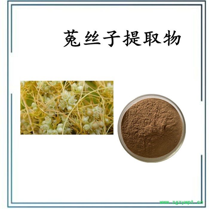 菟丝子千图网 菟丝子浸膏粉  水溶 可定制图4