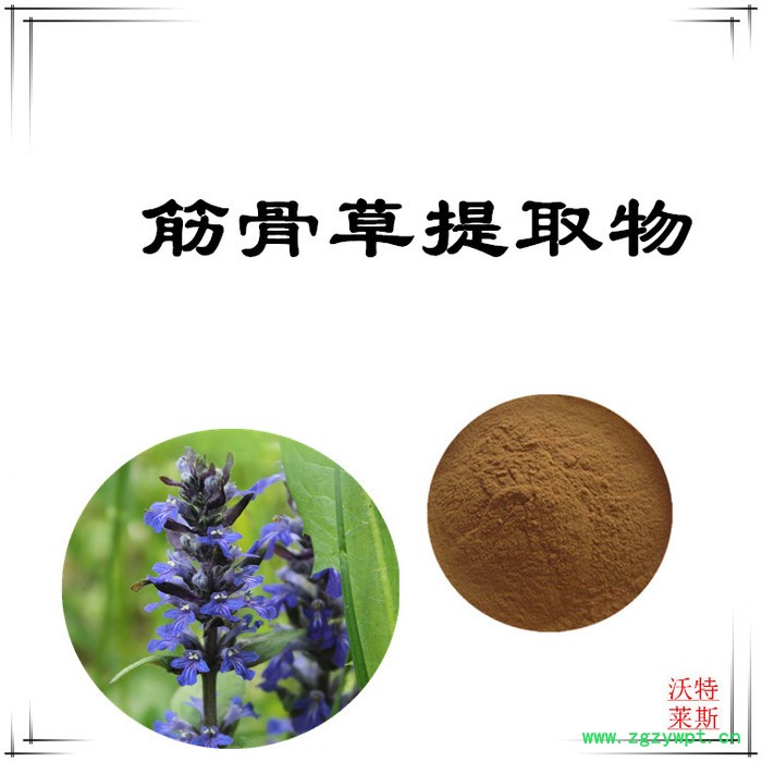 沃特莱斯 全水溶筋骨草粉98% 筋骨草提取物10:1图6