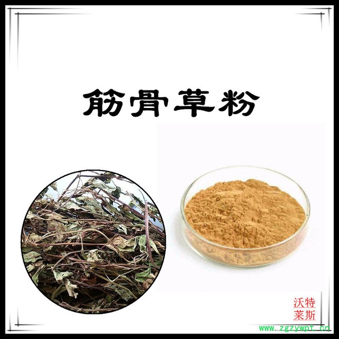 沃特莱斯 全水溶筋骨草粉98% 筋骨草提取物10:1图5