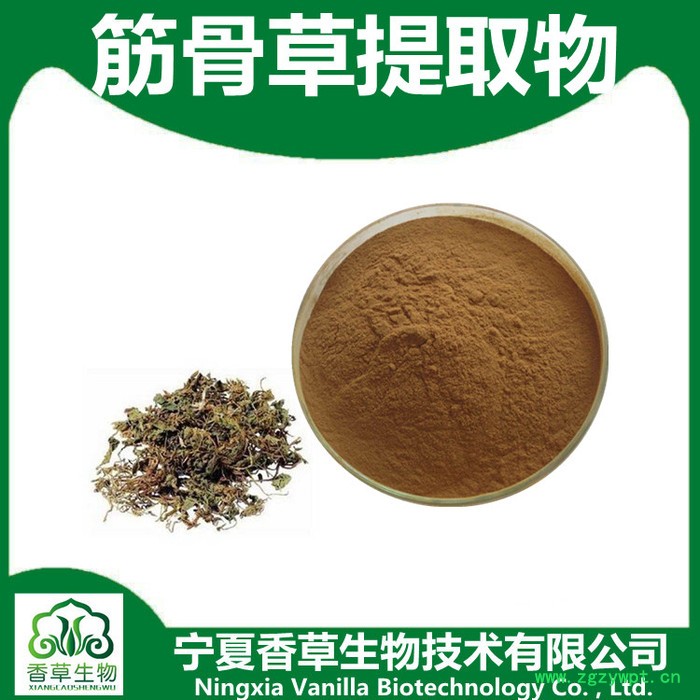 筋骨草粉98%价格  厂家供应筋骨草浸膏粉 筋骨草速溶粉图7