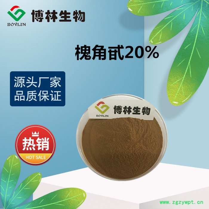 槐角甙20% 槐角提取物 槐角水溶性粉 槐角纯粉图3