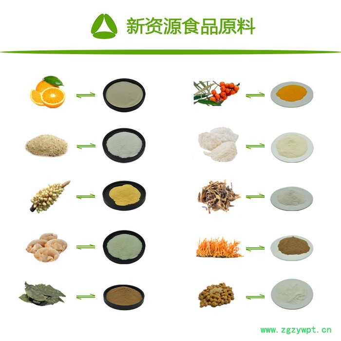 全奥生物  槐实提取物 水溶 槐实粉 槐实浓缩粉 槐角提取物 SC厂家图2