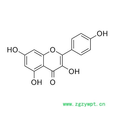 山柰酚98% 槐角提取物 CAS:520-18-3 kaempferol 现货 10g/袋