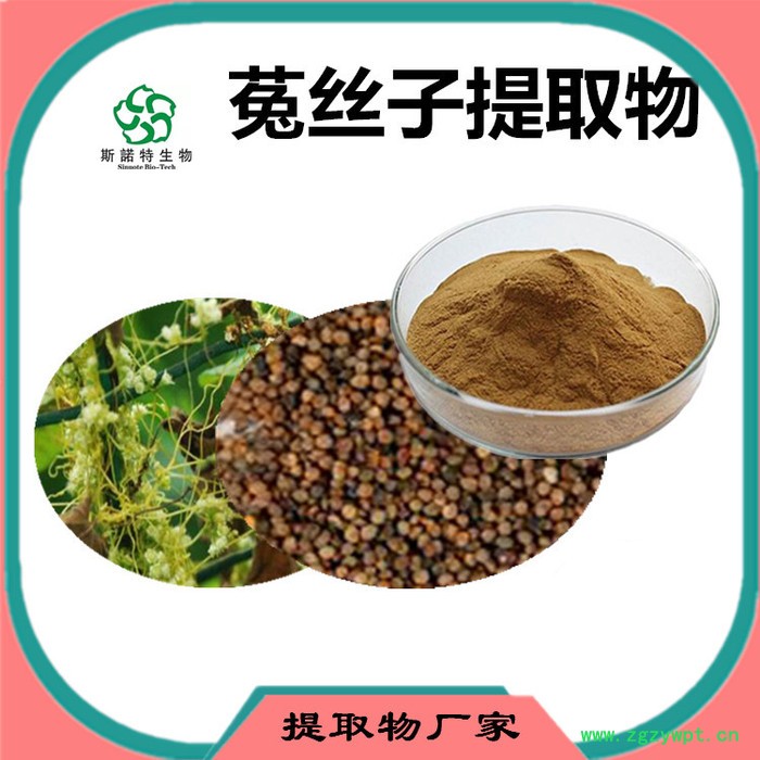 斯诺特 菟丝子粉 菟丝子喷雾干燥粉 生产厂家图1