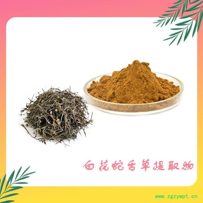 白花蛇舌草浓缩粉 六盘韵生产 10:1白花蛇舌草提取物图2