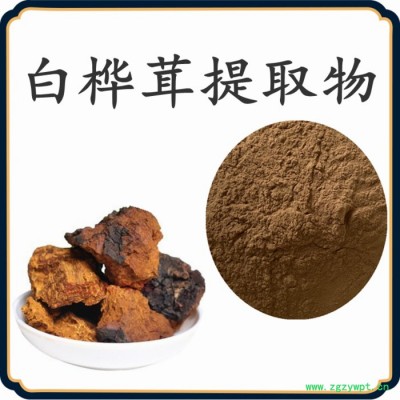 白桦茸提取物   可定制  水溶性  白桦茸粉厂家