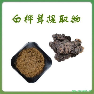 白桦茸浓缩粉 水溶 可定制 白桦茸提取物厂家