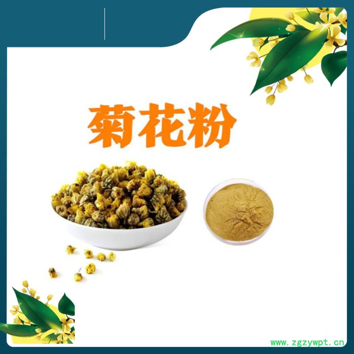 斯诺特 蛹虫草提取物 浓缩粉 蛹虫草粉图6