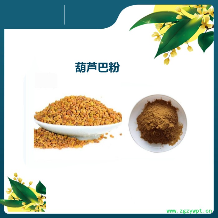 斯诺特 蛹虫草提取物 浓缩粉 蛹虫草粉图4