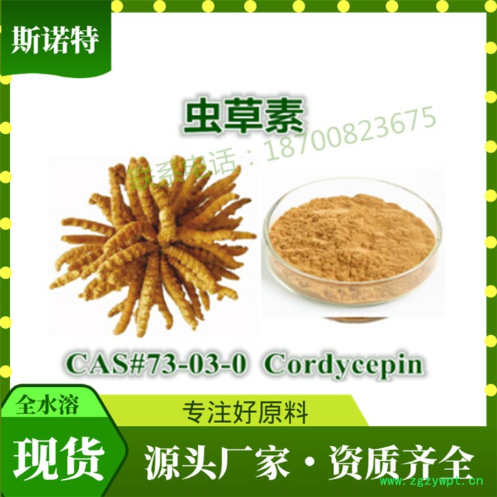 蛹虫草提取物 虫草素1% 蛹虫草粉 蛹虫草多糖 Cordycepin图1