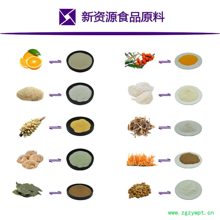 虫草素1% 蛹虫草提取物 虫草粉  SC源头厂家包邮  西安瑞尔丽生物工程 冬虫夏草提取物图4