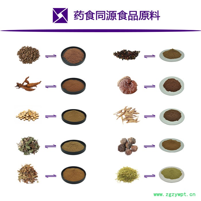 虫草素1% 蛹虫草提取物 虫草粉  SC源头厂家包邮  西安瑞尔丽生物工程 冬虫夏草提取物图6