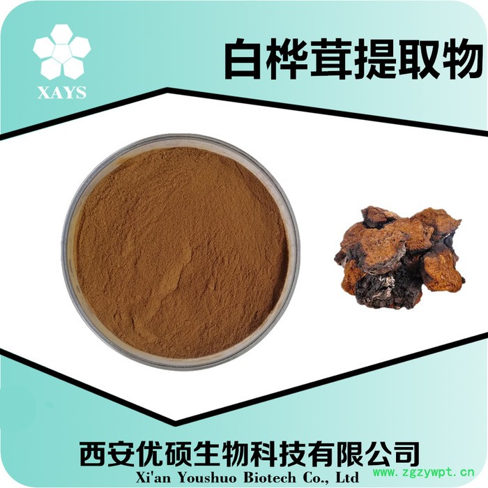 白桦茸提取物 白桦茸粉 白桦茸食品原料 资质齐全厂家包邮西安优硕图3