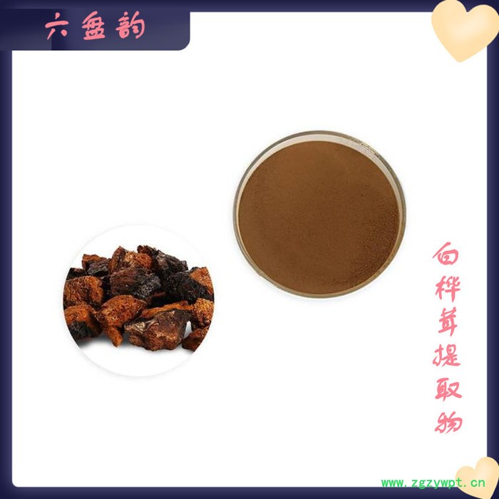 白桦茸浓缩粉 白桦茸提取物 可定制 生产厂家 六盘韵生物图2