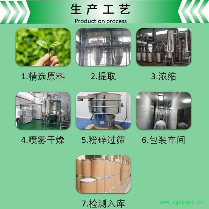 斯诺特 茯神提取物 茯神粉 厂家供应 包邮图3