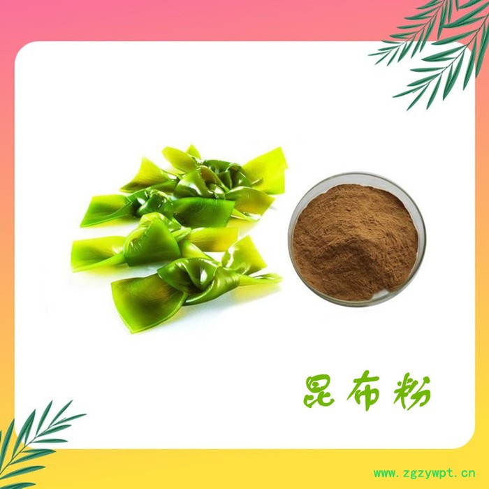 昆布粉 昆布提取物 药食同源 海带粉图1