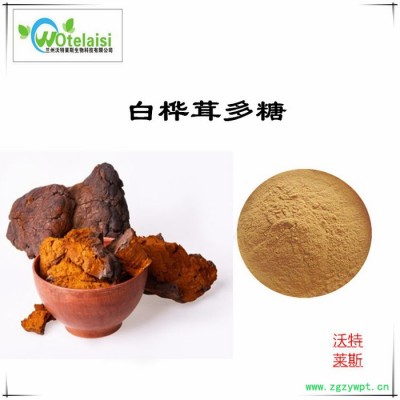 白桦茸多糖30% 50% 白桦茸粉  桦褐孔菌提取物10:1