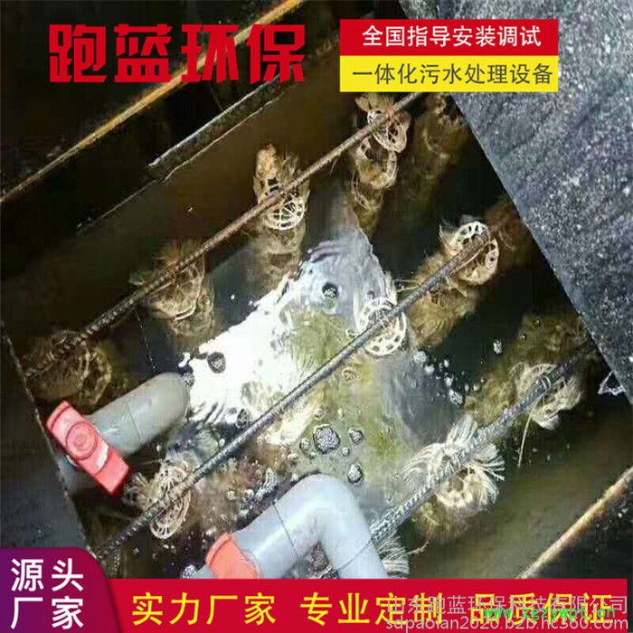 山东跑蓝PL 阿胶产品加工废水处理蜜饯加工废水处理 安装调试