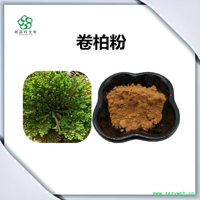 斯诺特 牛黄喷雾干燥粉 牛黄浸膏粉 厂家发货图4