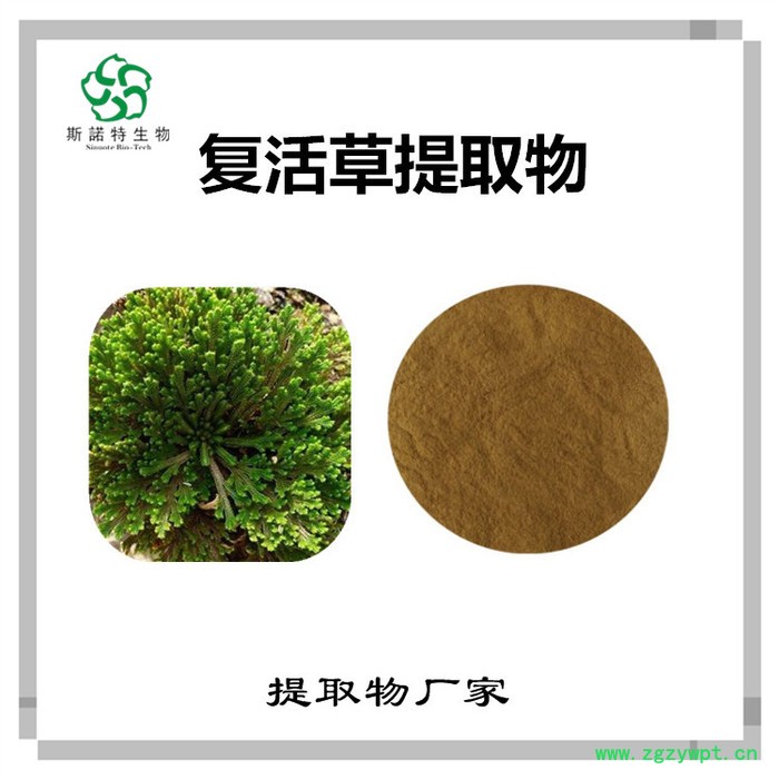 斯诺特 牛黄提取物 牛黄粉 生产厂家图5