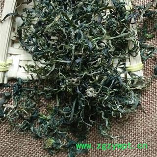 蒲公英 蒲公英茶 泡茶用炒蒲公英 特级蒲公英茶 产地 安徽省图2