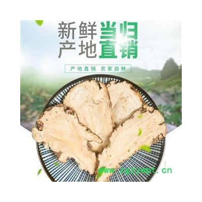 甘肃全当归片地产直供 优质保证大货可提供专票