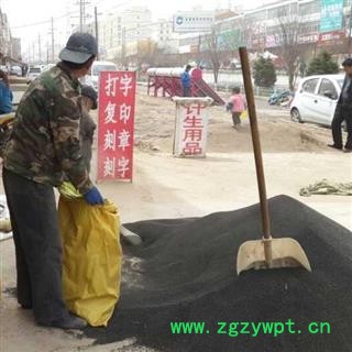 黄芩 黄芩籽  黄芩种子 产地 甘肃省定西市渭源县图3