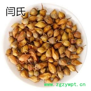 郁金 郁金香 洋荷花 郁香花茶 花茶级别 统货 产地 广西壮族自治区图1