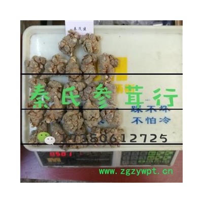 三七22头 水洗三七 标准22头春七  水洗 足干 未打蜡 （1斤正好22个）( 下单送量勺 ) 产地直销 云南省文山壮族苗族自治州文山县