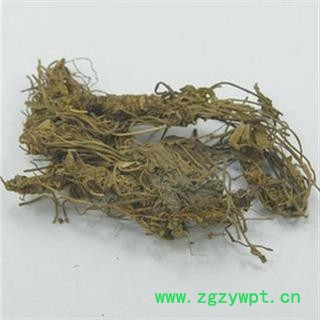 缬草 缬草全草统货 产地 云南省图2