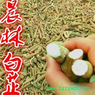 川白芷之遂宁白芷红皮无硫小统货 道地白芷 常年有大货 产地直销 遂宁市船山区