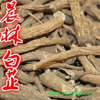 川白芷之遂宁白芷节尾 药厂投料打粉 道地白芷 产地直销 常年有大货 遂宁市船山区