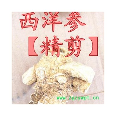 西洋参 西洋参粒头【精剪】20-30g产地直供，假一赔十 产地 吉林省白山市抚松县