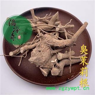 臭茉莉根 臭矢茉莉 大髻婆 过墙风 冬地梅 统 产地 广西壮族自治区桂林市图2