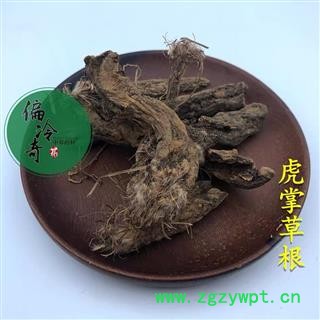 虎掌草 虎掌草根 汉虎掌 见风青 见风蓝 统 产地 贵州省图3