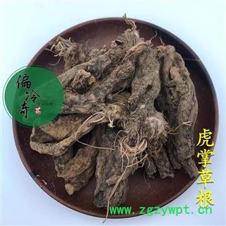 虎掌草 虎掌草根 汉虎掌 见风青 见风蓝 统 产地 贵州省图1