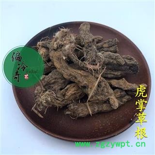 虎掌草 虎掌草根 汉虎掌 见风青 见风蓝 统 产地 贵州省图2