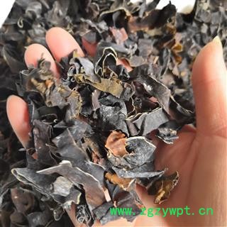 安祁名药昆布 纶布  海昆布  另有海藻图1