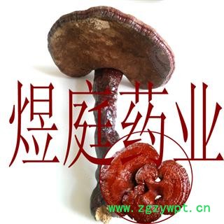 煜庭药业 灵芝 正品图2