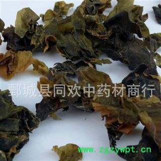 【水洗昆布】@【同欢药材】中药材批发供应  规格齐全 量大从优 产地 山东省图2