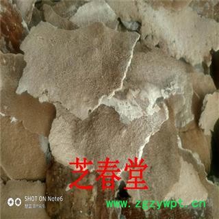 芝春堂 长白山野生白耙齿菌，以长在杨树上的为佳品 支持验货图2