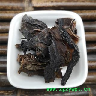 昆布江白菜纶布 海昆布昆布菜海草图1