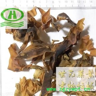 世元药业 昆布 水洗 正品 黑菜 鹅掌菜 五掌菜图1